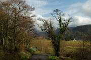 2022-04-06 - Spaziergang ans LochAlsh mit Blick auf EileanDonanCastle
