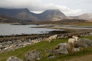 2022-04-16 - Wanderung  Skye - LochSlapin-LochEishort